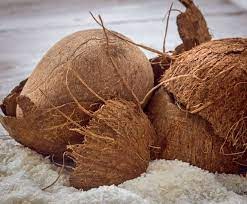 Dry Coconut