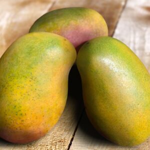 East Indian Mango