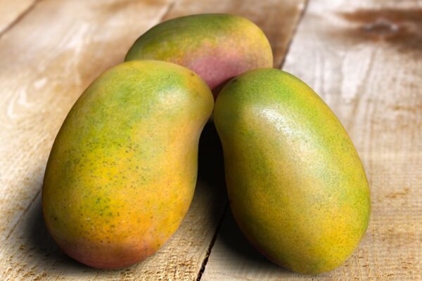 East Indian Mango