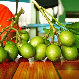Genip