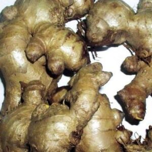 Ginger Jamaican