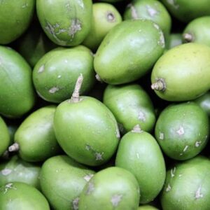 June Plum