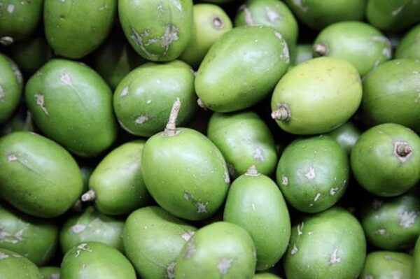 June Plum