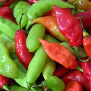 Pimento Pepper