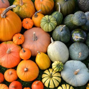 Pumpkin