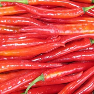 Red Thai Chilli