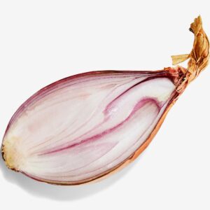 Shallot