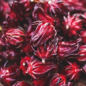 Sorrel