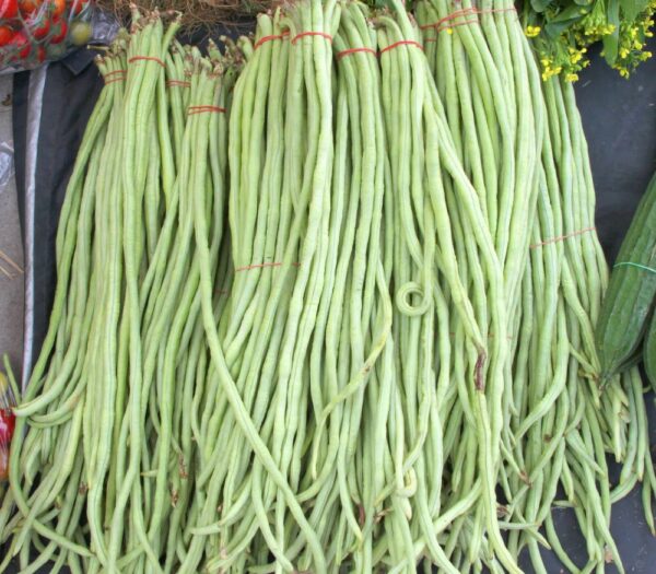White Long Beans