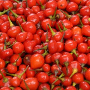 Wierri Peppers