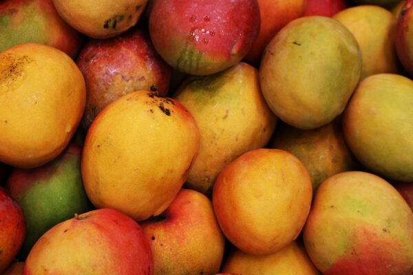 Yulima Mango