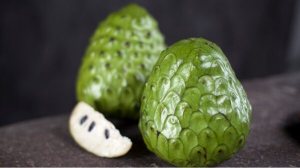 Chirimoya