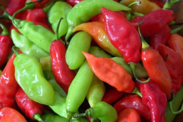Pimento Pepper